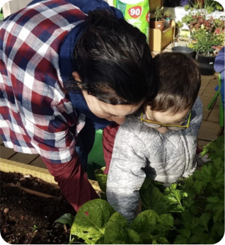 Strawberry picking